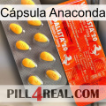 Cápsula Anaconda new01